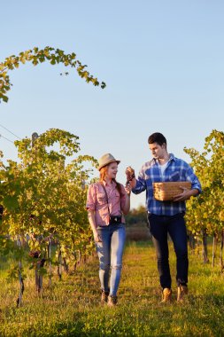 Birkaç büyük bağ yürüyen winegrowers