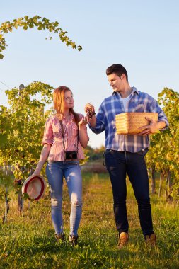 Birkaç büyük bağ yürüyen winegrowers