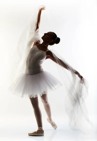Una joven bailarina bailarina bailando con tutú en estudio de silueta en blanco —  Fotos de Stock