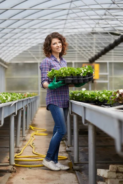 Portrait of a young woman at work in greenhouse — Stock Photo, Image
