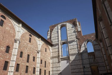 profesyonel dövmeci kalıcı hale getirme tricopigmentation kadar yapmak