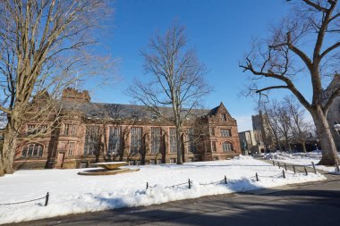 Princeton Üniversitesi, ünlü Amerikan üniversitelerinden biri olan