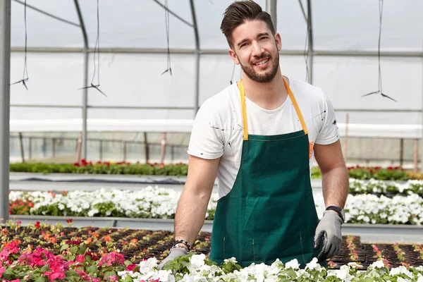 Portrait of a smiling greenhouse worker — Stock Photo, Image