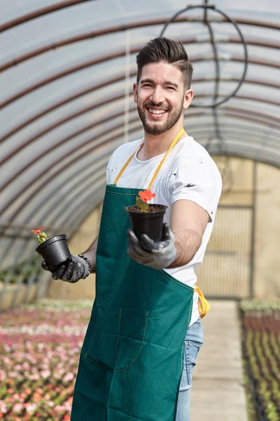 Portrait of a smiling greenhouse worker