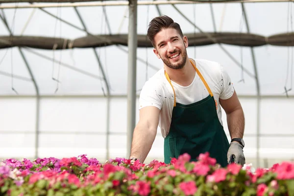 Retrato de um trabalhador de estufa sorridente — Fotografia de Stock