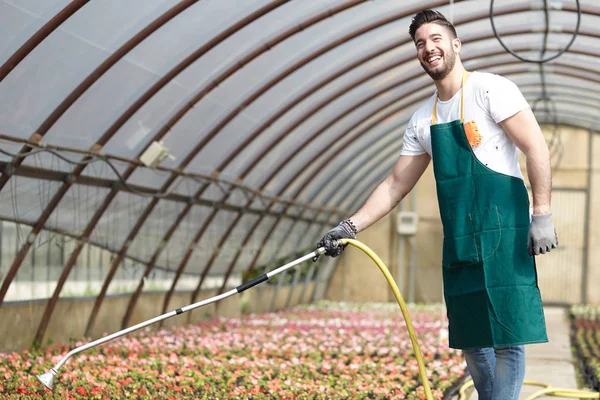 Portrait of a smiling greenhouse worker — Stock Photo, Image