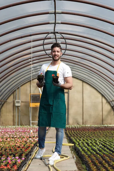 Portrait of a smiling greenhouse worker — Stock Photo, Image