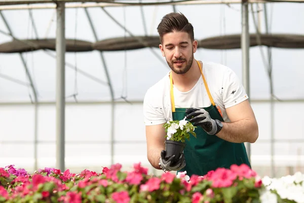 Portrait of a smiling greenhouse worker — Stock Photo, Image