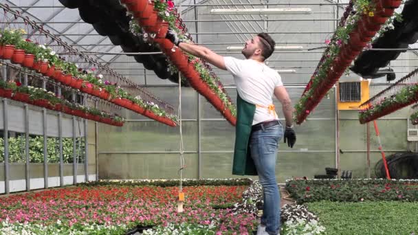 Glückliche männliche Kindergärtnerin schneidet Pflanzen im Gewächshaus