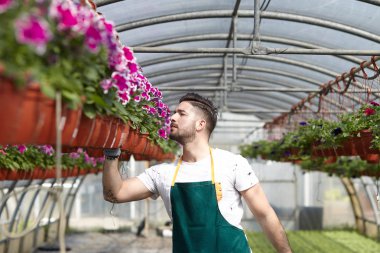 mutlu erkek çocuk işçi kırpma bitki sera içinde