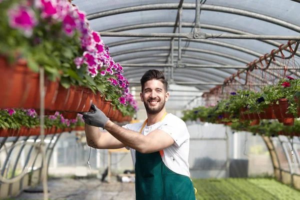 Gärna manliga arbetare trimning plantskoleväxter i växthus — Stockfoto