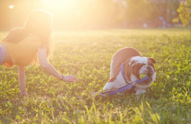 İngilizce Bulldog ile parkta oynayan genç kız