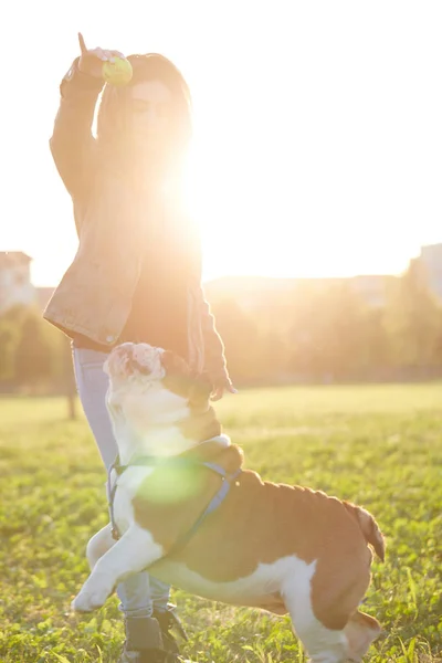 Menina brincando com Bulldog Inglês no parque — Fotografia de Stock