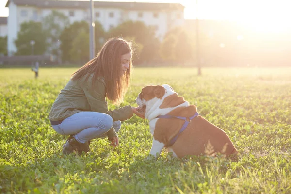 Women hugging a british bulldog and kiss — Stock Photo, Image