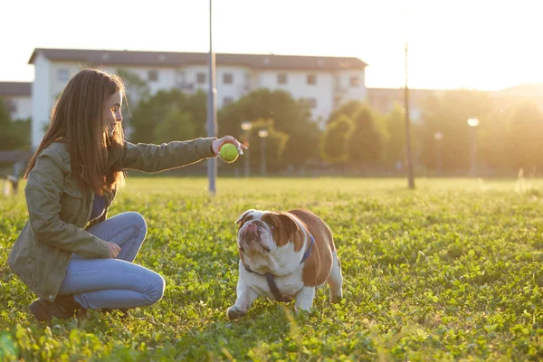 Jovem brincando com Inglês bulldog no por do sol — Fotografia de Stock