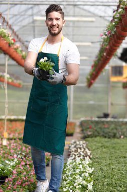 mutlu erkek çocuk işçi kırpma bitki sera içinde