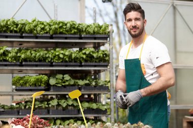 mutlu erkek çocuk işçi kırpma bitki sera içinde