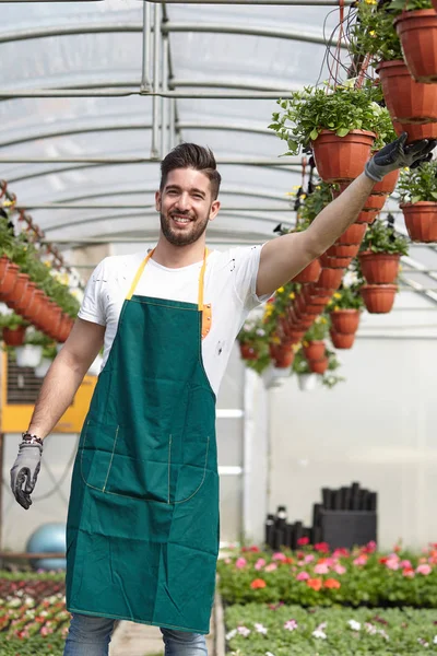 Happy male nursery worker trimming plants in greenhouse — Stock Photo, Image