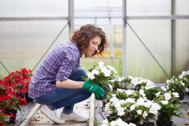Mutlu kadın kreş işçisi seradaki bitkileri buduyor.