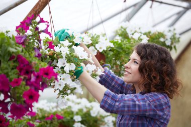 Mutlu kadın kreş işçisi seradaki bitkileri buduyor.