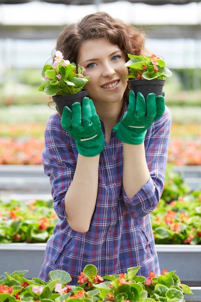 Feliz trabalhadora do berçário feminino aparando plantas em estufa — Fotografia de Stock