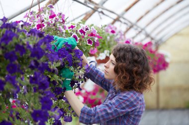 Mutlu kadın kreş işçisi seradaki bitkileri buduyor.