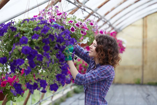 happy female nursery worker trimming plants in greenhouse