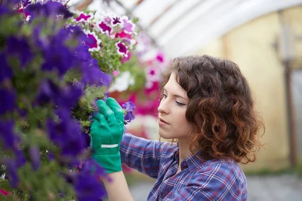 Mutlu kadın kreş işçisi seradaki bitkileri buduyor.