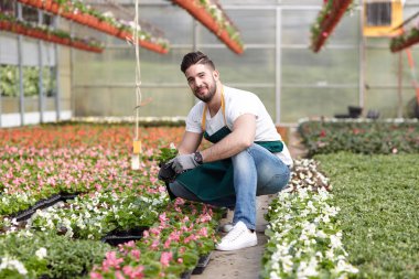 mutlu erkek çocuk işçi kırpma bitki sera içinde