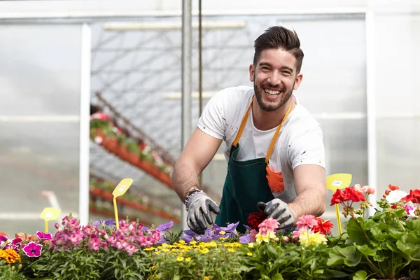 mutlu erkek çocuk işçi kırpma bitki sera içinde