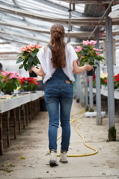 Mulher Que Trabalha Uma Loja Jardim — Fotografia de Stock