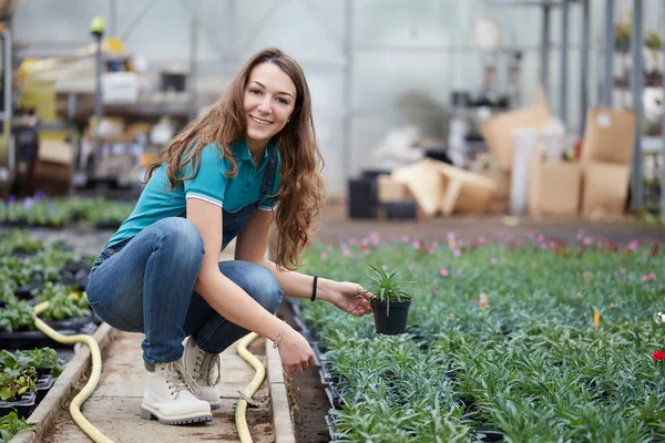 Mujer Que Trabaja Una Tienda Jardín — Foto de Stock