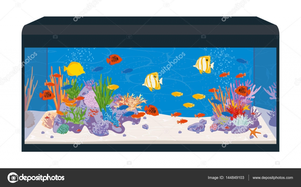 Featured image of post How To Draw Fish Tank Background Now call that function many times with different