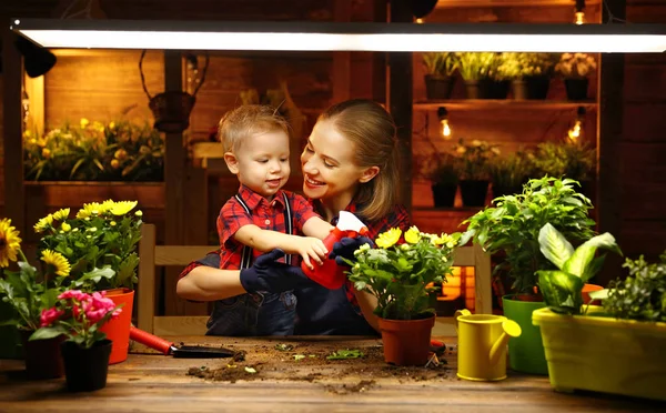 La mère de famille et le bébé cultivent des fleurs, transplantent des semis en gar — Photo