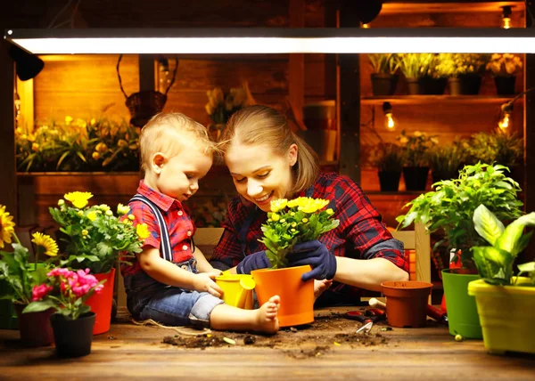 Famiglia madre e bambino coltivare fiori, piantine trapianto in gar — Foto Stock