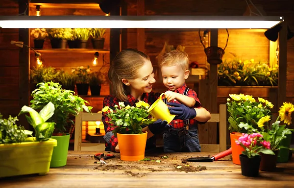 Familie moeder en baby groeien bloemen, planten zaailingen in gar — Stockfoto