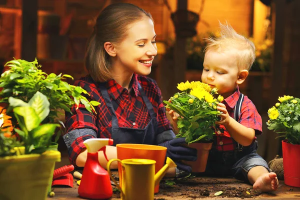 Familie moeder en baby groeien bloemen, planten zaailingen in gar — Stockfoto