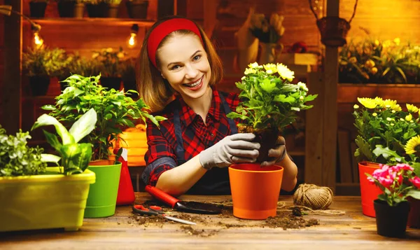 Heureuse femme jardinier transplantation et arrosage des fleurs — Photo