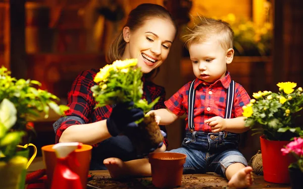 Family mother and baby grow flowers, transplant seedlings in gar — Stock Photo, Image