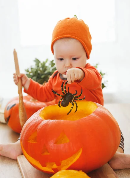 Κόβουμε την κολοκύθα για το Halloween στην κουζίνα στο σπίτι το μωρό — Φωτογραφία Αρχείου