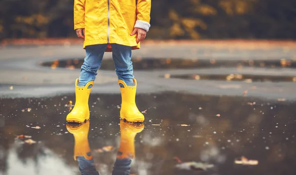 Benen van kind in gele rubberen laarzen in plas in autum — Stockfoto