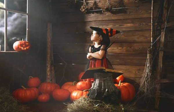 Хэллоуин. маленькая ведьма колдует с книгой заклинаний, маги — стоковое фото
