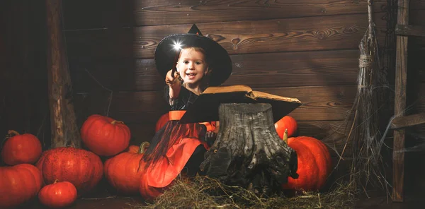 Halloween.  little  witch   conjures with  book of spells,  magi — Stock Photo, Image