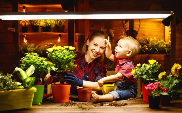 Famiglia madre e bambino coltivare fiori, piantine trapianto in gar — Foto Stock