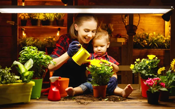 Famiglia madre e bambino coltivare fiori, piantine trapianto in gar — Foto Stock