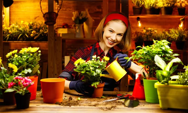 Heureuse femme jardinier transplantation et arrosage des fleurs — Photo