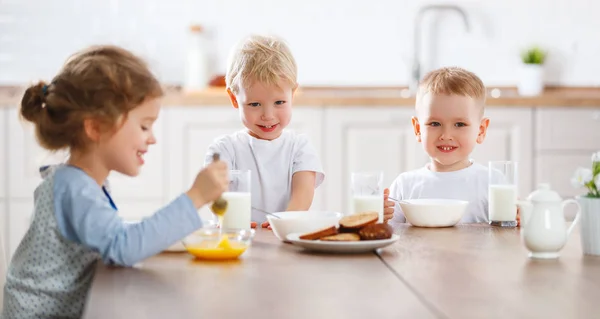 Счастливые Смешные Дети Сестра Братья Едят Завтрак — стоковое фото