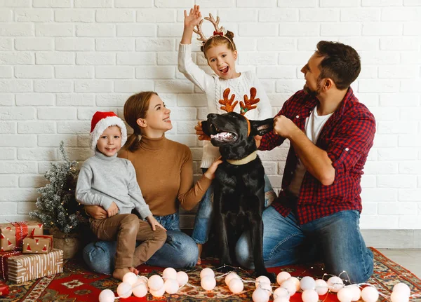 God jul! familj mamma far och barn med hund innan C — Stockfoto