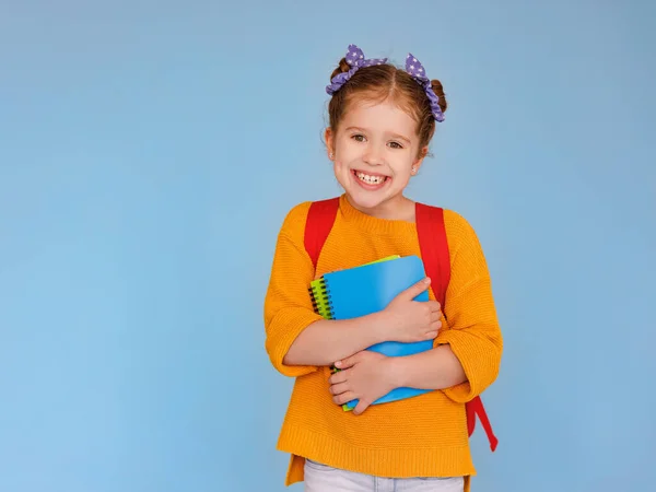 Menina Feliz Roupas Casuais Sorrindo Para Câmera Abraçando Cadernos Enquanto — Fotografia de Stock