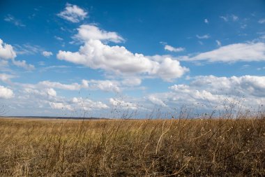 Bulutlar tarlanın üzerinde